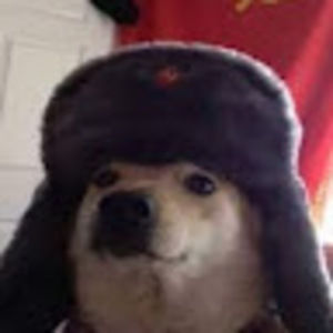 Meet your Posher, Cullan